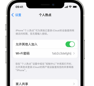 蚌山apple服务站点分享iPhone上个人热点丢失了怎么办 