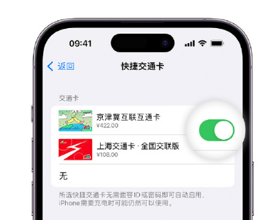 蚌山apple维修点分享iPhone上更换Apple Pay快捷交通卡手绘卡面 