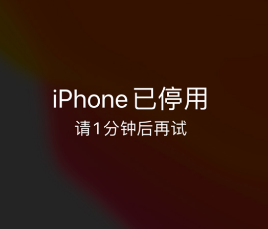 蚌山苹果手机维修分享:iPhone 显示“不可用”或“已停用”怎么办？还能保留数据吗？ 