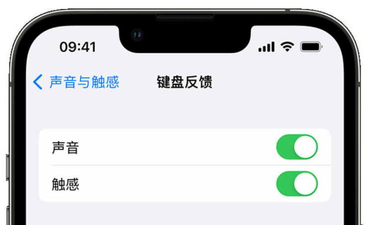 蚌山苹果手机维修分享iPhone 14触感键盘使用方法 