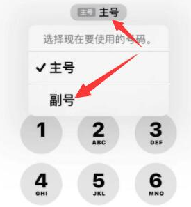 蚌山苹果14维修店分享iPhone 14 Pro Max使用副卡打电话的方法 