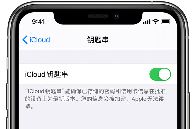 蚌山苹果手机维修分享在 iPhone 上开启 iCloud 钥匙串之后会储存哪些信息 