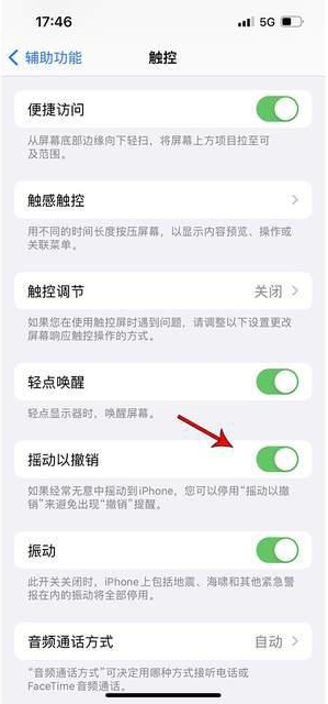 蚌山苹果手机维修分享iPhone手机如何设置摇一摇删除文字 