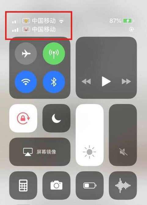 蚌山苹果手机维修分享为 iPhone 12 双卡设置标签 