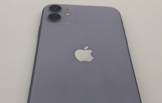 蚌山苹果11系统维修分享iPhone11手机系统崩溃无法开机如何解决 